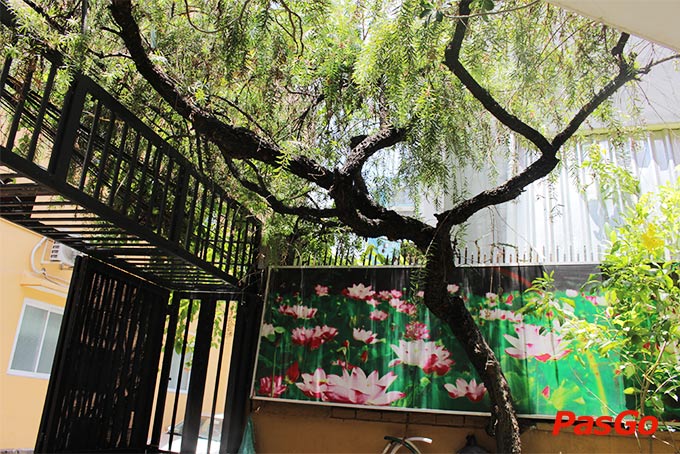 chuỗi nhà hàng lẩu nấm chay an nhiên 16