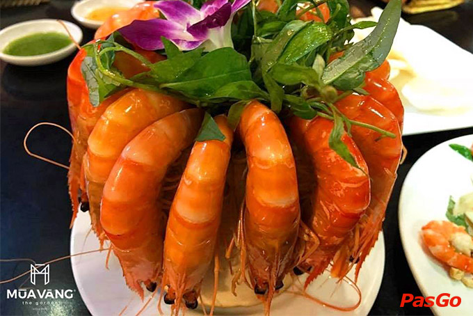 Mùa Vàng – Tô Hiến Thành 