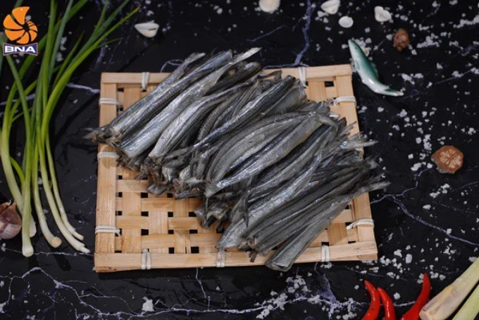 Cá kìm một nắng