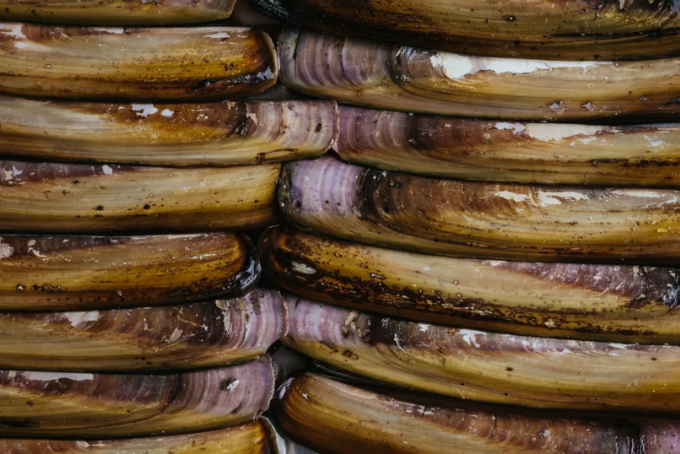 Ốc móng tay xào me