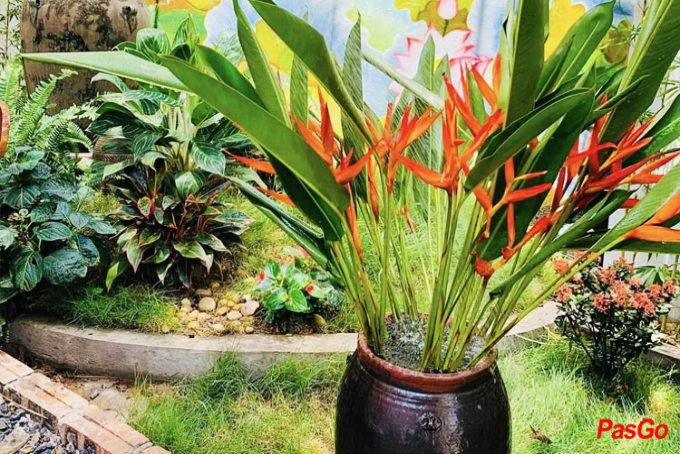 Chay Tâm Sen - Ngoại Giao Đoàn-11