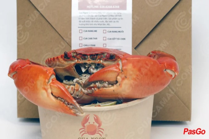 Cua Ngon - Hương vị Đất mũi - Nguyễn Thái Bình-3