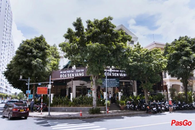 Đóa Sen Vàng Vegan - Đường C-10