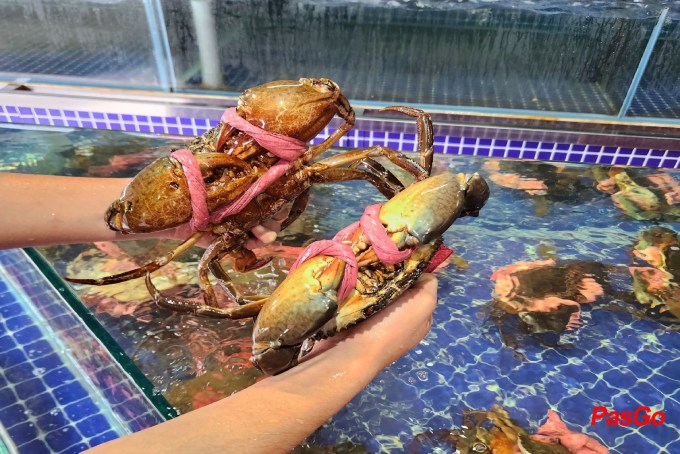 Hải Sản Ngọc Việt - Khu đất Dịch vụ-10