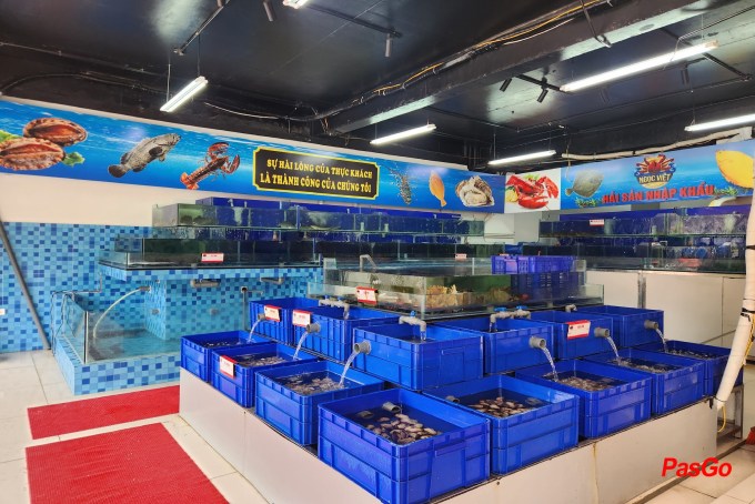 Hải Sản Ngọc Việt - Khu đất Dịch vụ-11