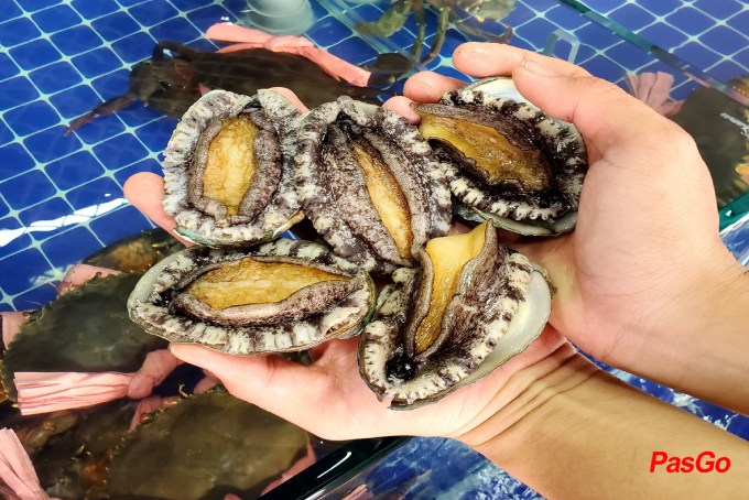 Hải Sản Ngọc Việt - Khu đất Dịch vụ-7