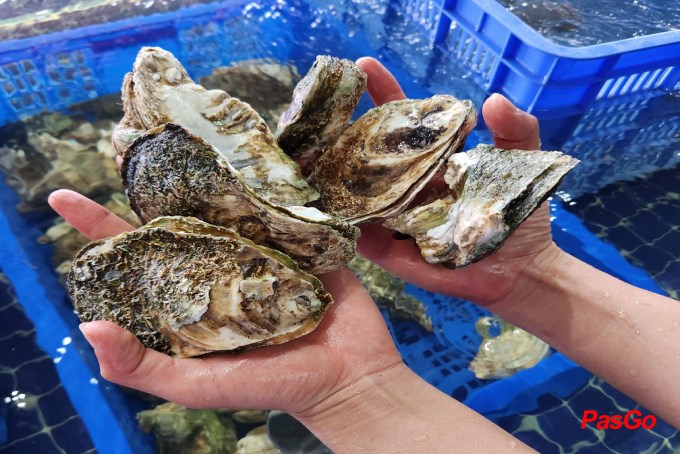 Hải Sản Ngọc Việt - Khu đất Dịch vụ-8