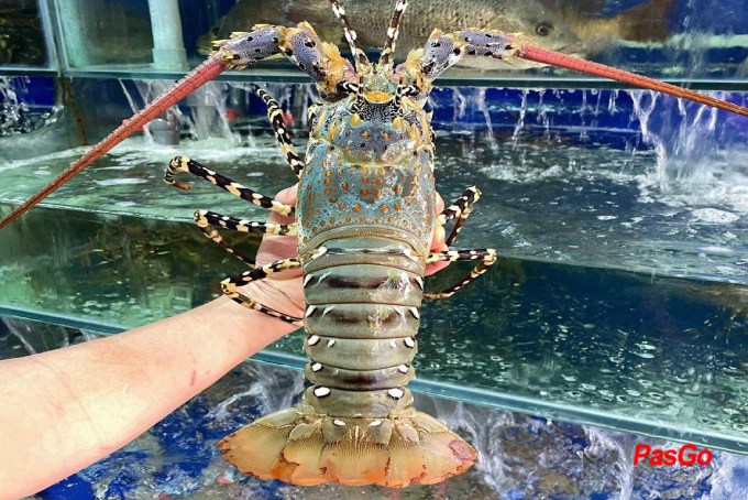 Hải Sản Ngọc Việt - Khu đất Dịch vụ-9