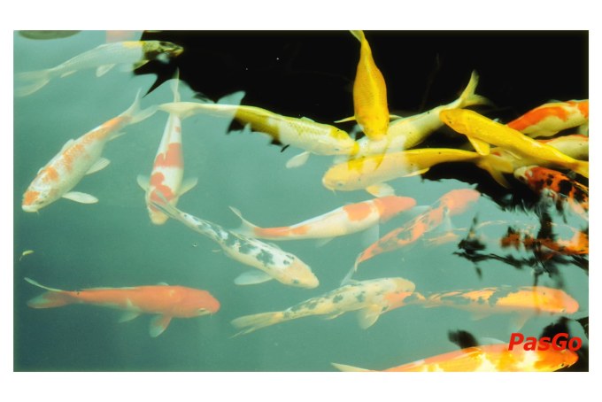 MiamThai - Lương Khánh Thiện-14