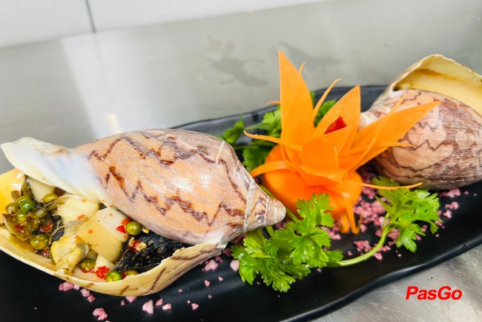 Ốc Q - Trần Não-3