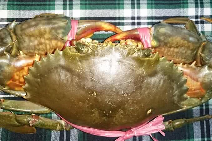 Lẩu Cua Đất Mũi Trần Hưng Đạo món ăn 2