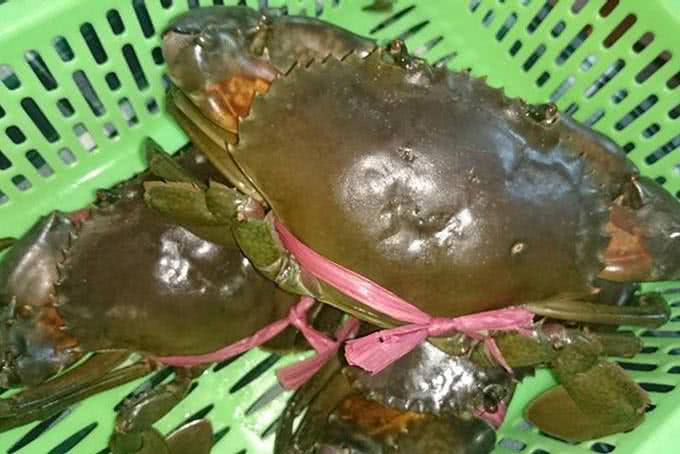 Lẩu Cua Đất Mũi Trần Hưng Đạo món ăn 3