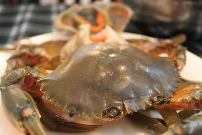 Lẩu Cua Đất Mũi – Quang Trung-1