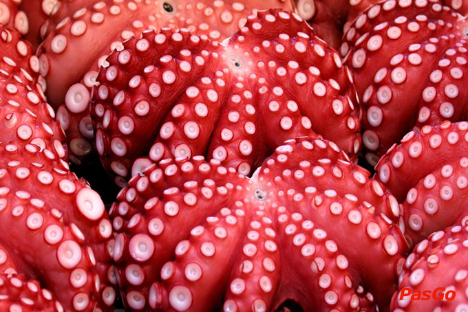 Lẩu Tôm Sen Đào - Phó Đức Chính-5