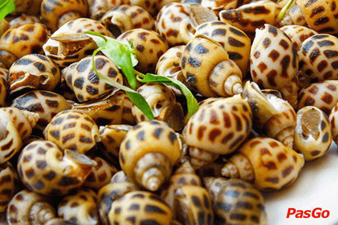 OHCHA - Lạc Long Quân  -5