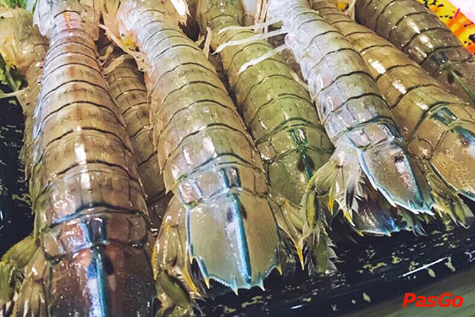 OHCHA - Lạc Long Quân  -6