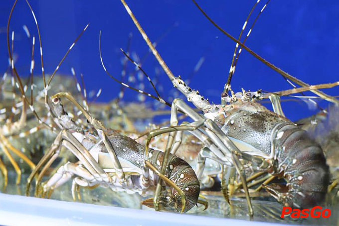 Hải Sản Vương Anh - KĐT Nam Trung Yên -16