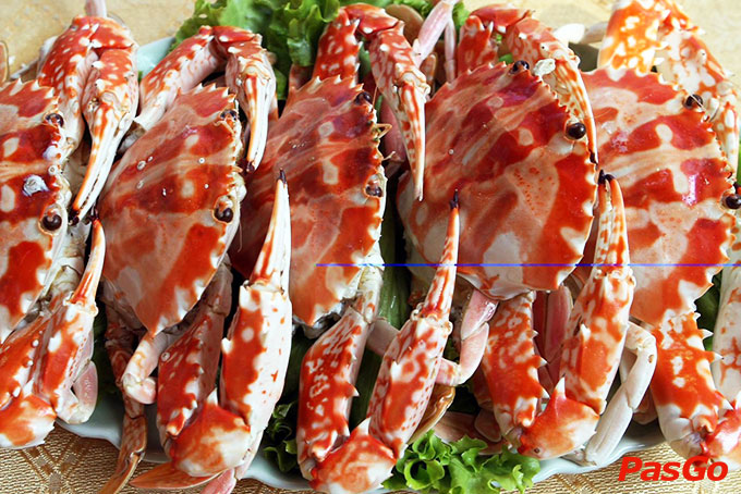 Hồng Hạc - Tây Sơn-4