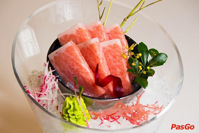 Kiến Đỏ Akaari - Trung Hòa Nhân Chính -5