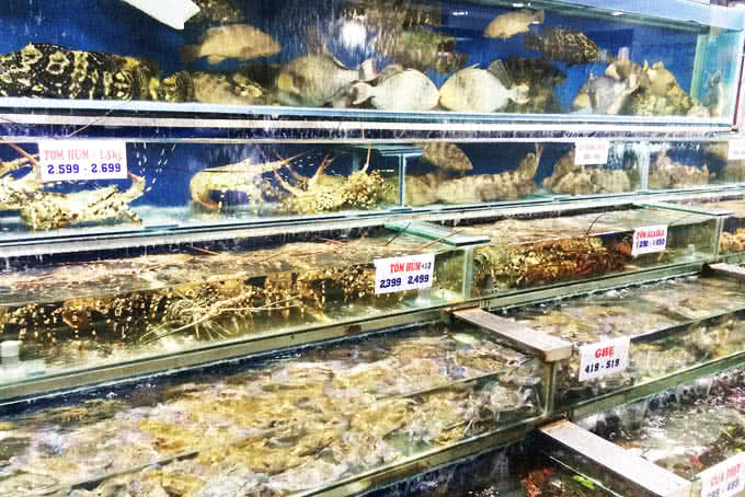 vựa hải sản biển đông trần quốc toản 22