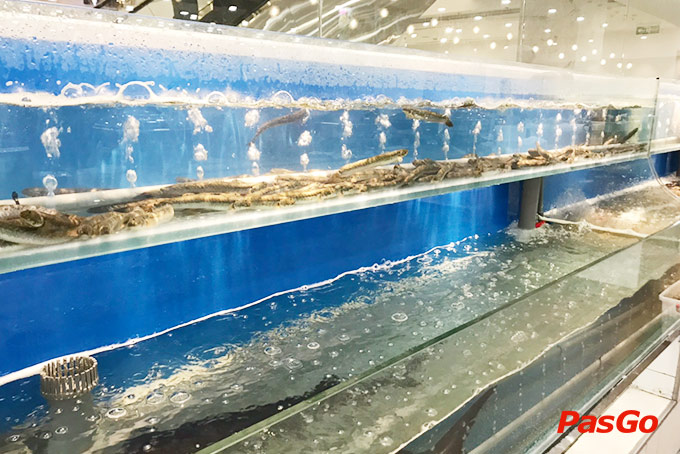 nhà hàng buffet poseidon the artemis 27