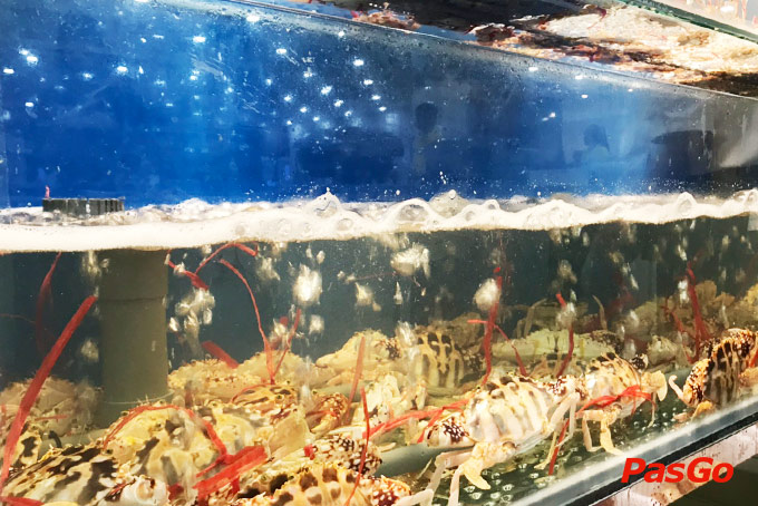 nhà hàng buffet poseidon the artemis 26