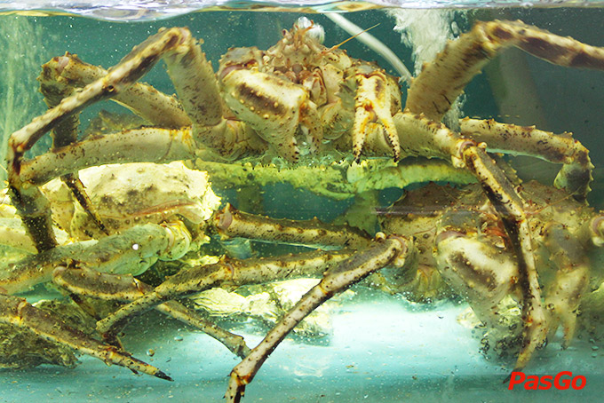 Thế Giới Hải Sản - Thái Thịnh-10