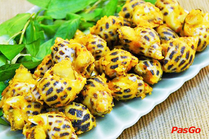 San Hô Đỏ - Nguyễn Đình Chiểu-4