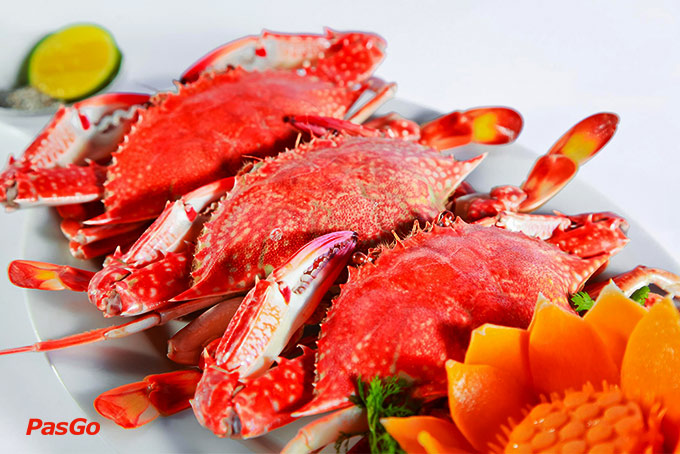 Trần Xuân Võ Nguyên Giáp 10