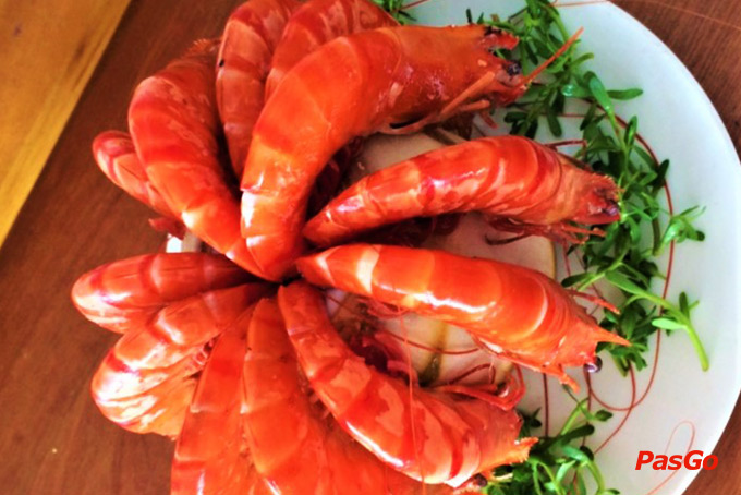 Trần Xuân Võ Nguyên Giáp 11