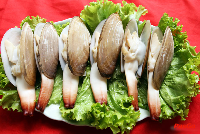 Trần Xuân Võ Nguyên Giáp 6