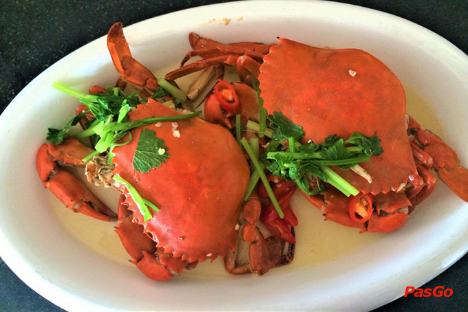 Trần Xuân Võ Nguyên Giáp 8