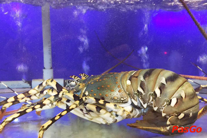 Nhà hàng Út Thương Võ Nguyên Giáp 3