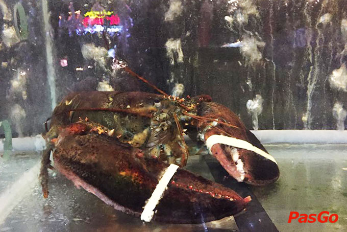 Nhà hàng Út Thương Võ Nguyên Giáp 4