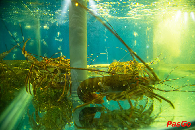 Nhà hàng Asian Garden Láng Hạ 18