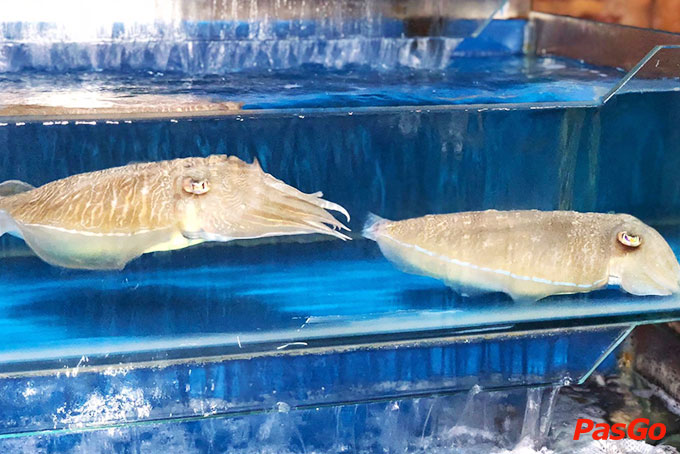 Vựa Hải Sản - Đành Đạch Quán - KĐT Cổ Nhuế-7