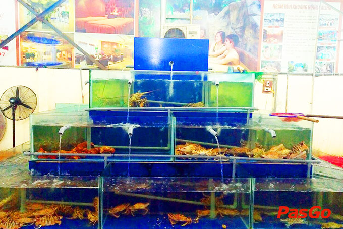 Nhà hàng Hải Sản Bé Anh 2 Võ Nguyên Giáp 5