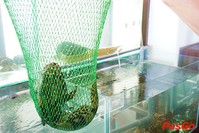 Big Plate Võ Nguyên Giáp 6