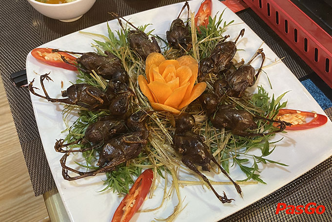 Chim To Dần Bình An - Trần Kim Xuyến-1