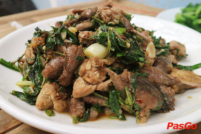 Chim To Dần Bình An - Trần Kim Xuyến-7