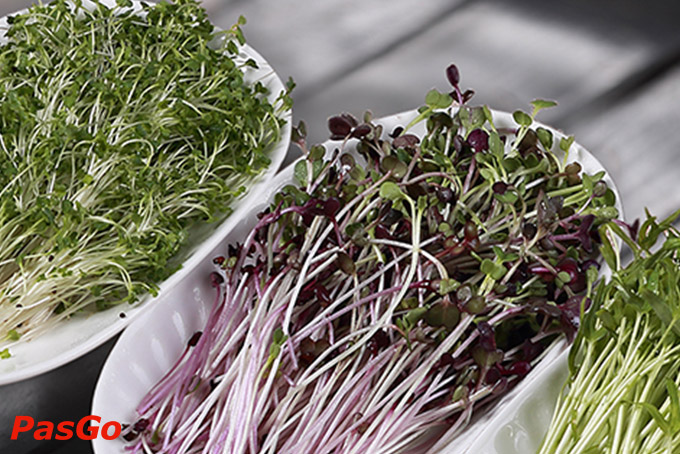 Nhà hàng Lẩu Nấm Ashima TpHCM 9