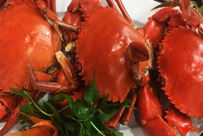 chuỗi nhà hàng cây sung quán 12