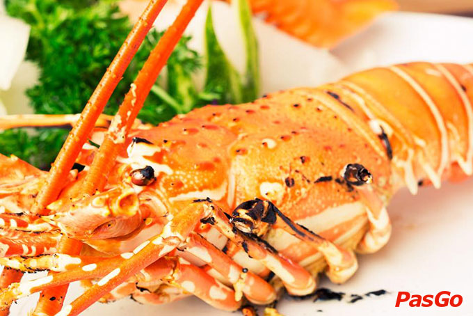 Cô Tô - Trung Kính