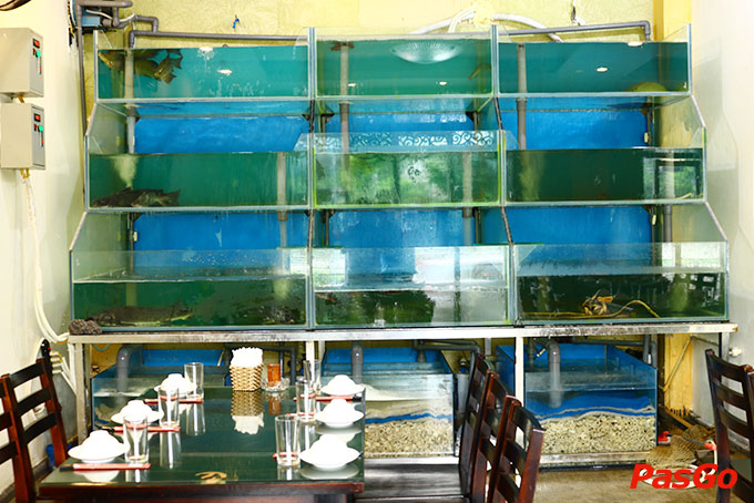 Cô Tô - Trung Kính-14