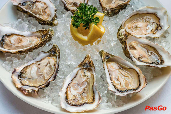 Đảo Hải Sản 2 - Trần Não