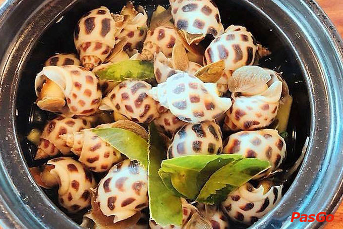 Đảo Hải Sản 2 - Trần Não-5