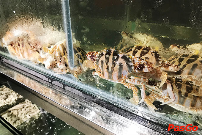 Nhà hàng Donzella BBQ & Hotpot Đội Cấn 9