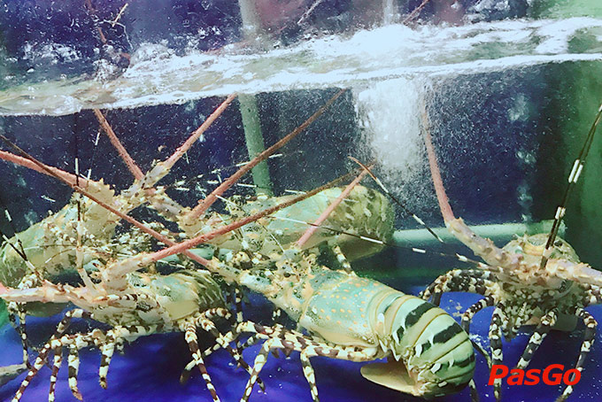 Hải Sản Bé Anh 1