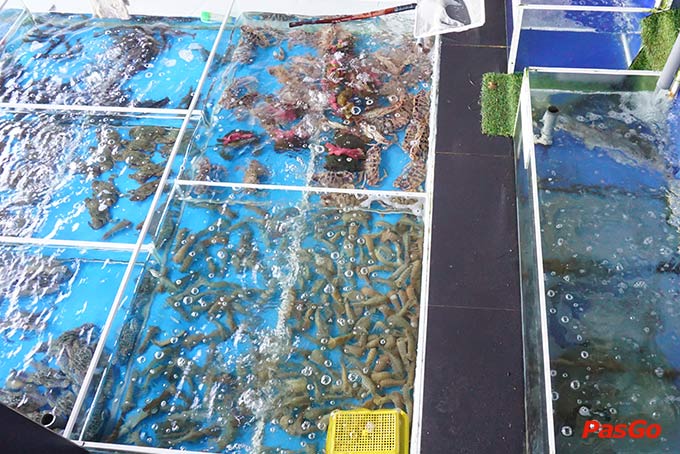 Nhà hàng Hà Béo Seafood Võ Văn Kiệt  20