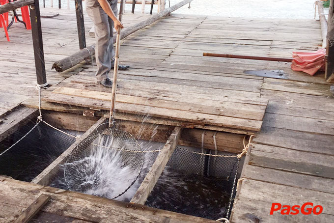 Hải Sản Tư Mập -  Riverside-18